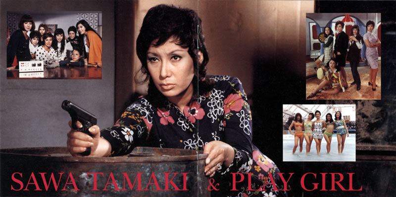 File:VA-SawaTamaki&PlaygirlMusicCollection i.jpg